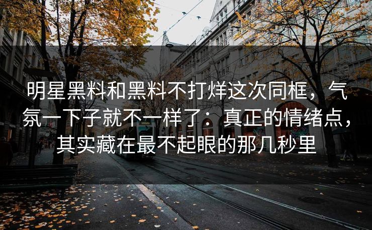 明星黑料和黑料不打烊这次同框，气氛一下子就不一样了：真正的情绪点，其实藏在最不起眼的那几秒里