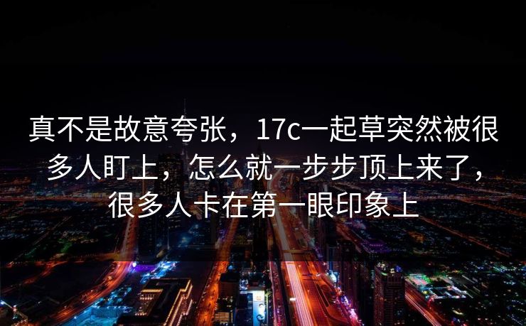 真不是故意夸张，17c一起草突然被很多人盯上，怎么就一步步顶上来了，很多人卡在第一眼印象上
