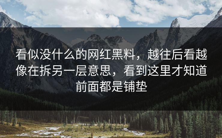看似没什么的网红黑料，越往后看越像在拆另一层意思，看到这里才知道前面都是铺垫