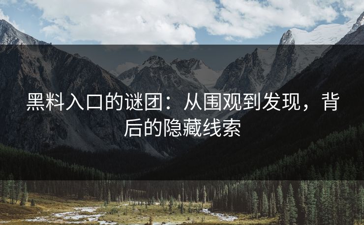 黑料入口的谜团：从围观到发现，背后的隐藏线索