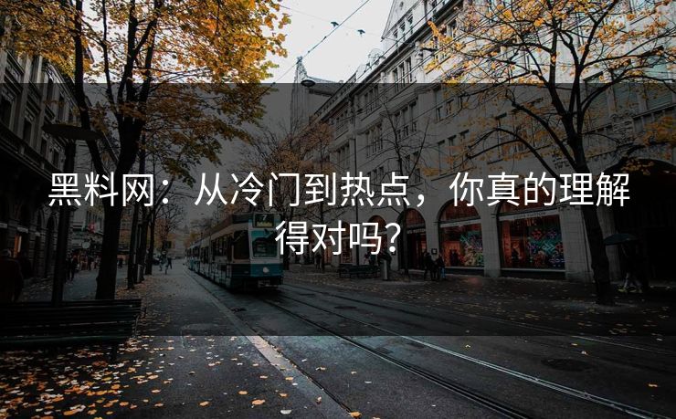 黑料网：从冷门到热点，你真的理解得对吗？