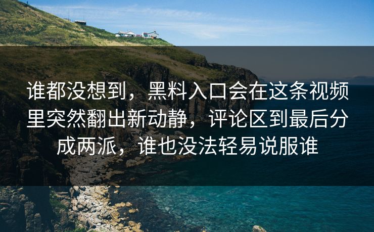谁都没想到，黑料入口会在这条视频里突然翻出新动静，评论区到最后分成两派，谁也没法轻易说服谁
