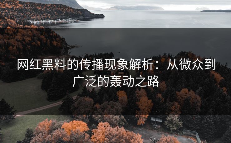 网红黑料的传播现象解析：从微众到广泛的轰动之路